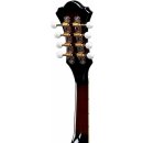 IBANEZ M522S-DVS Mandoline F-Style 8-String Dark Violin Sunburst Gloss